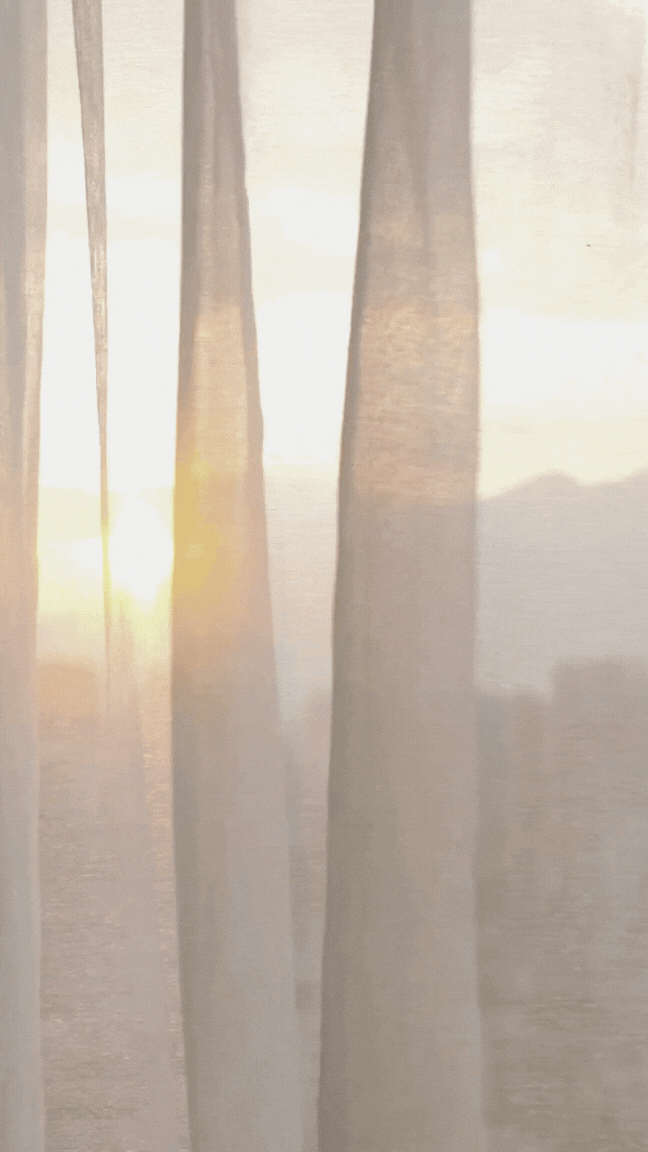 Animation de branding Tsunami Rigall